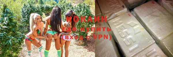 прущий лед Осташков