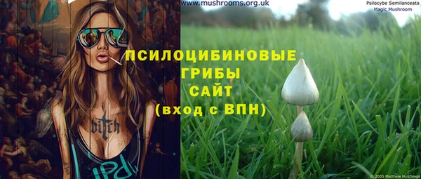 не бодяженный Осинники