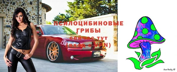 прущий лед Осташков