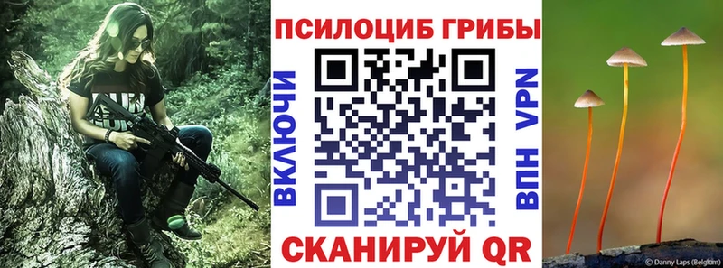блэк спрут онион  Зубцов  Галлюциногенные грибы прущие грибы  где продают  